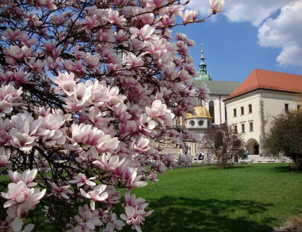 Krakow spring