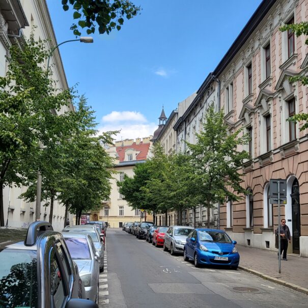 Ulica Librowszczyzna, Stradom