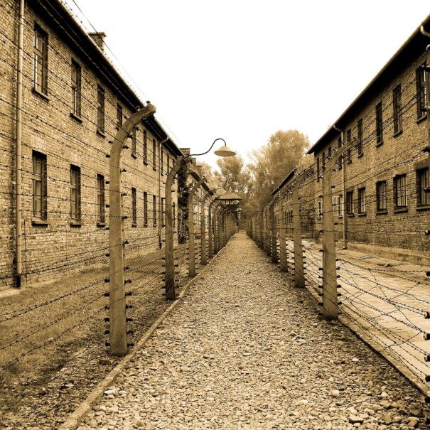 Camp alley