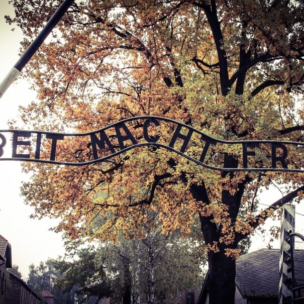 Camp gate