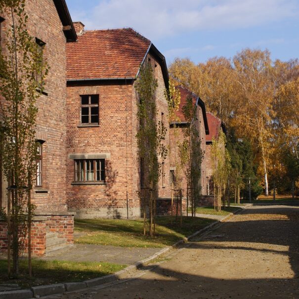 Camps