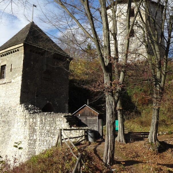 Ojcow, castle