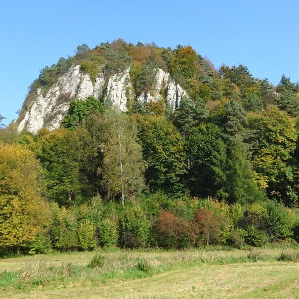 Rock formation