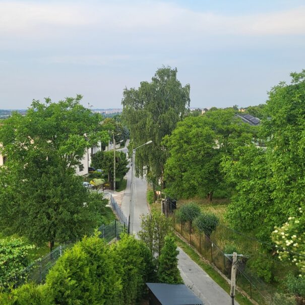 houses, near Wolski Forest