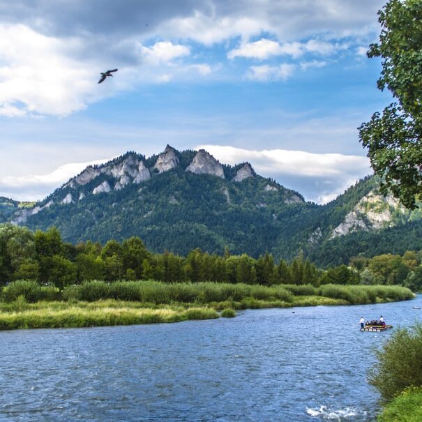 River, mountain view