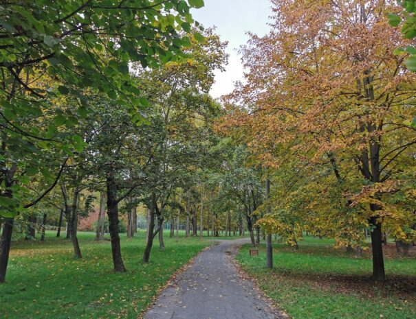 Polish Airmen Park