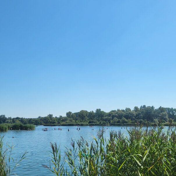 lagoon swimming